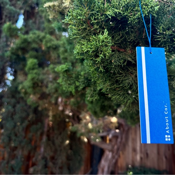 About Car Air Freshener | 24 Count (Pack of 1) | Coastal Mist - Picture 4 of 6